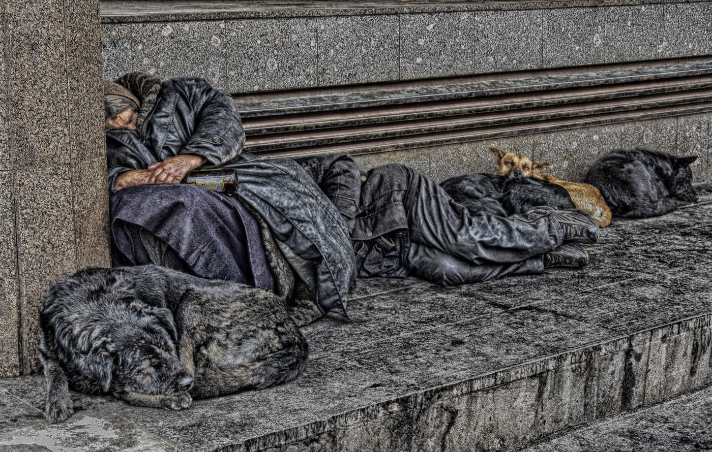 Бомжи санкт петербурга. Бездомные собаки. Картина бездомные. Бездомные люди около вокзала.