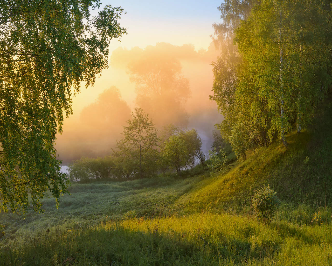 Жаркий летний день