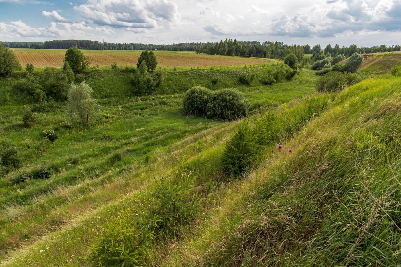 Окрестностях. Природа Татарстана картинки. Окрестности. Разъезд Корса. Фото профессиональные Татарстан природа.