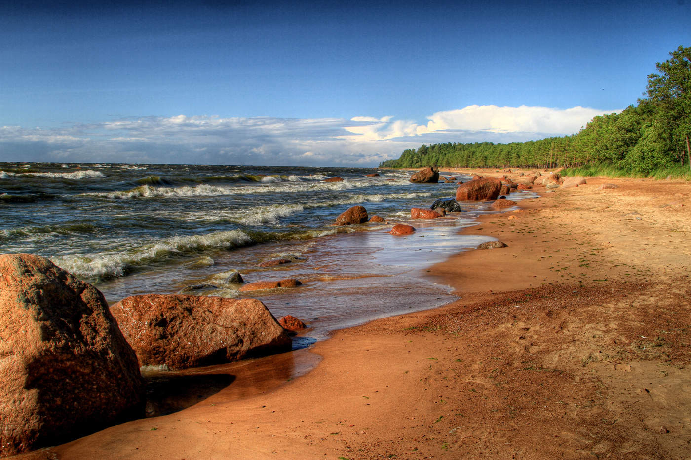 Берег Балтийского моря финский залив