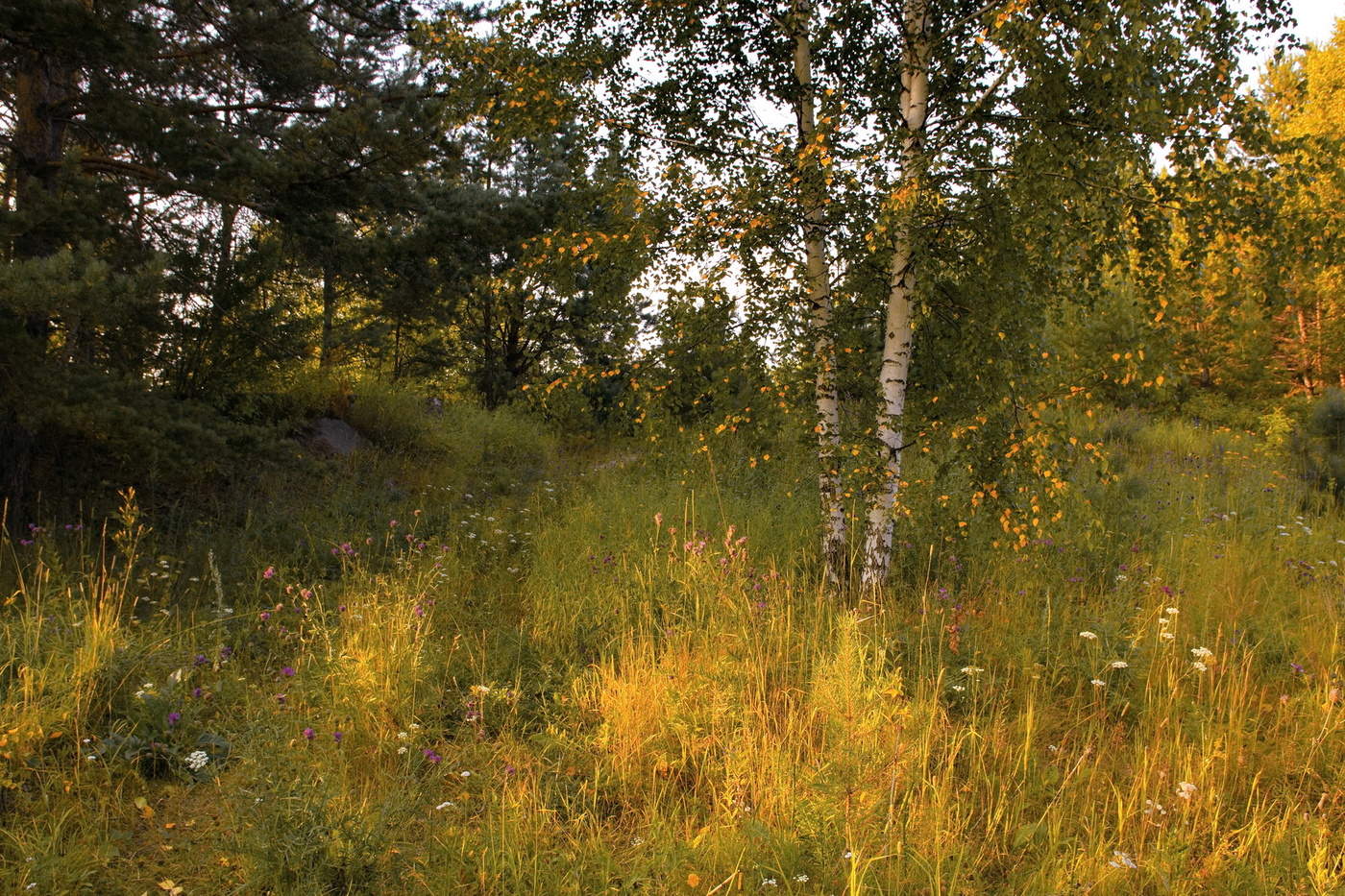 грустина древний город. петропавловская церковь (нагорный иштан). место под томском. таловские чаши экскурсия томск. таловские чаши басандайка.