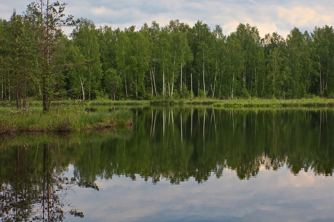 Лесной Пушкинский Район Фото