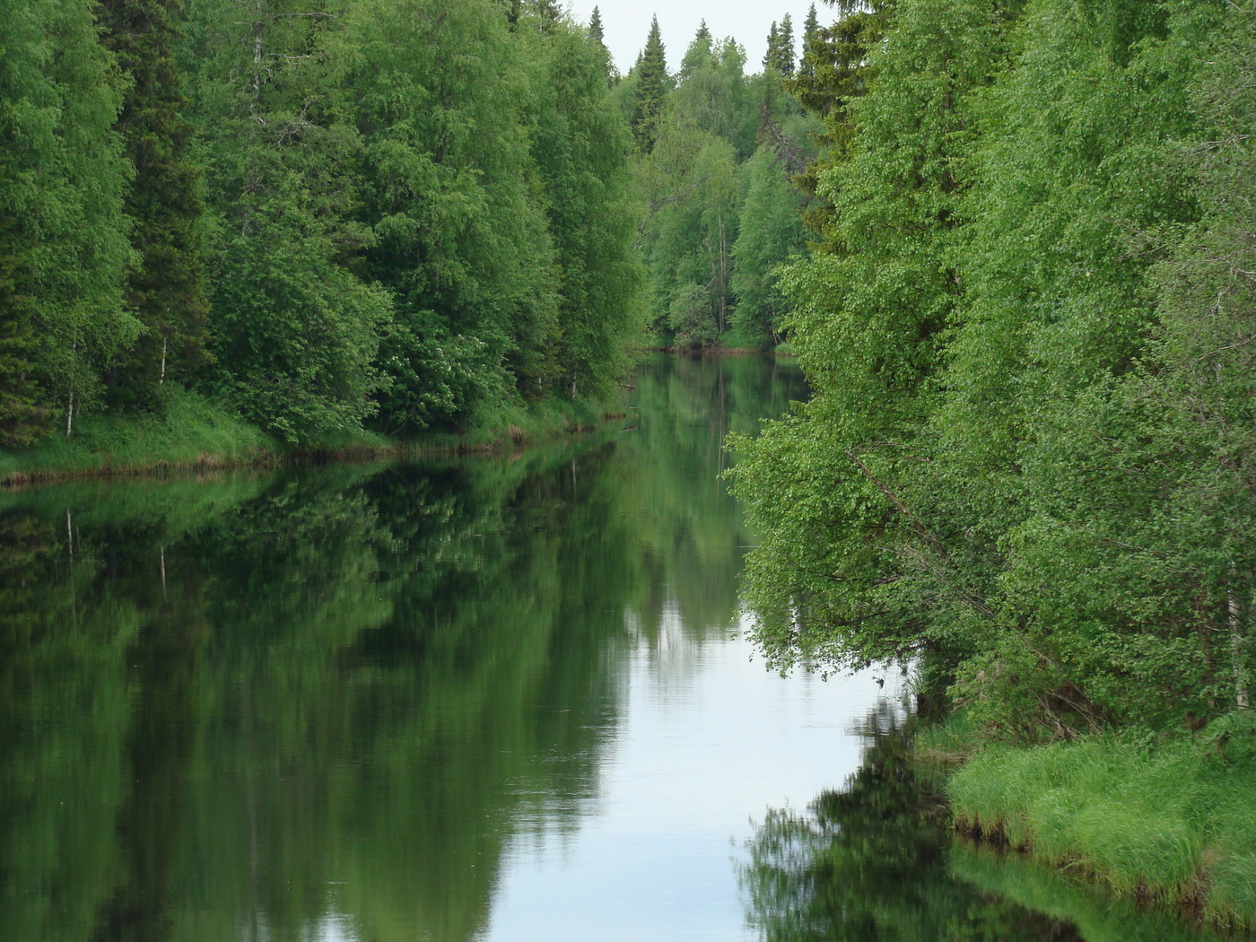 Смешанные леса вода. Смешанные и широколиственные леса реки. Смешанные и широколиственные леса реки и озера. Широколиственный лес река. Реки хвойно широколиственных лесов.