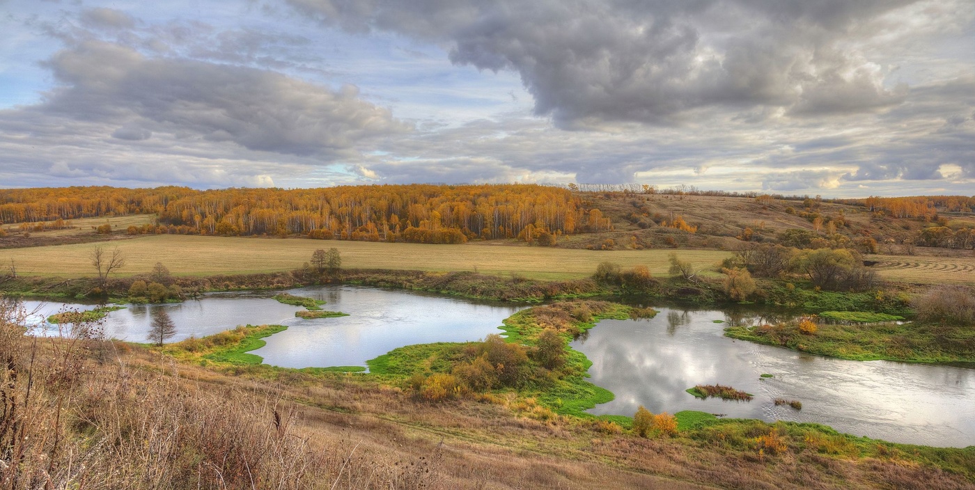 Теплом тульская область