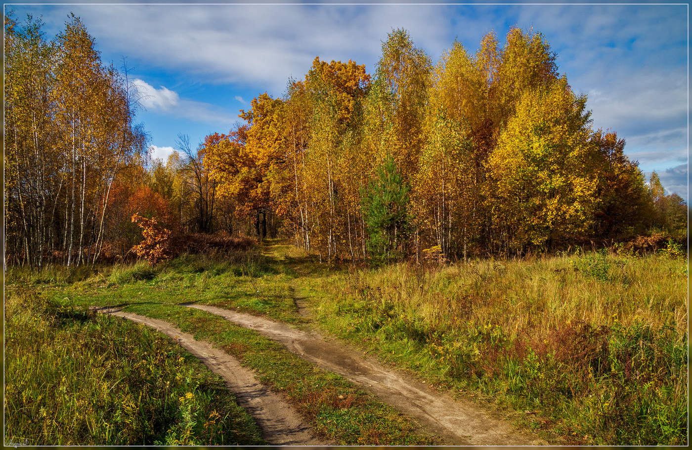 Осеннее Подмосковье Фото