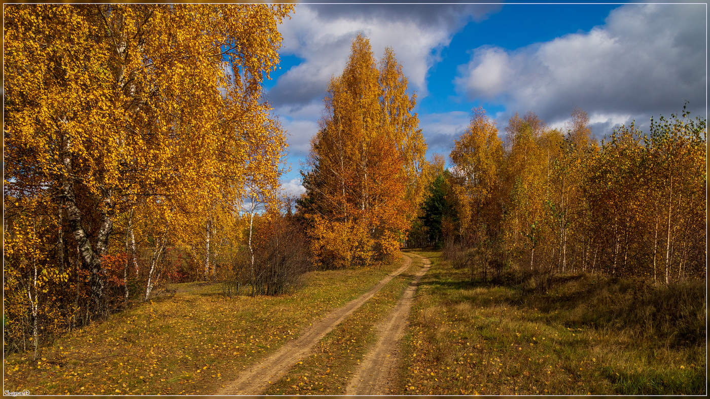 Подмосковье сентябрь природа фото Начало Октября в Подмосковье 12 / фото