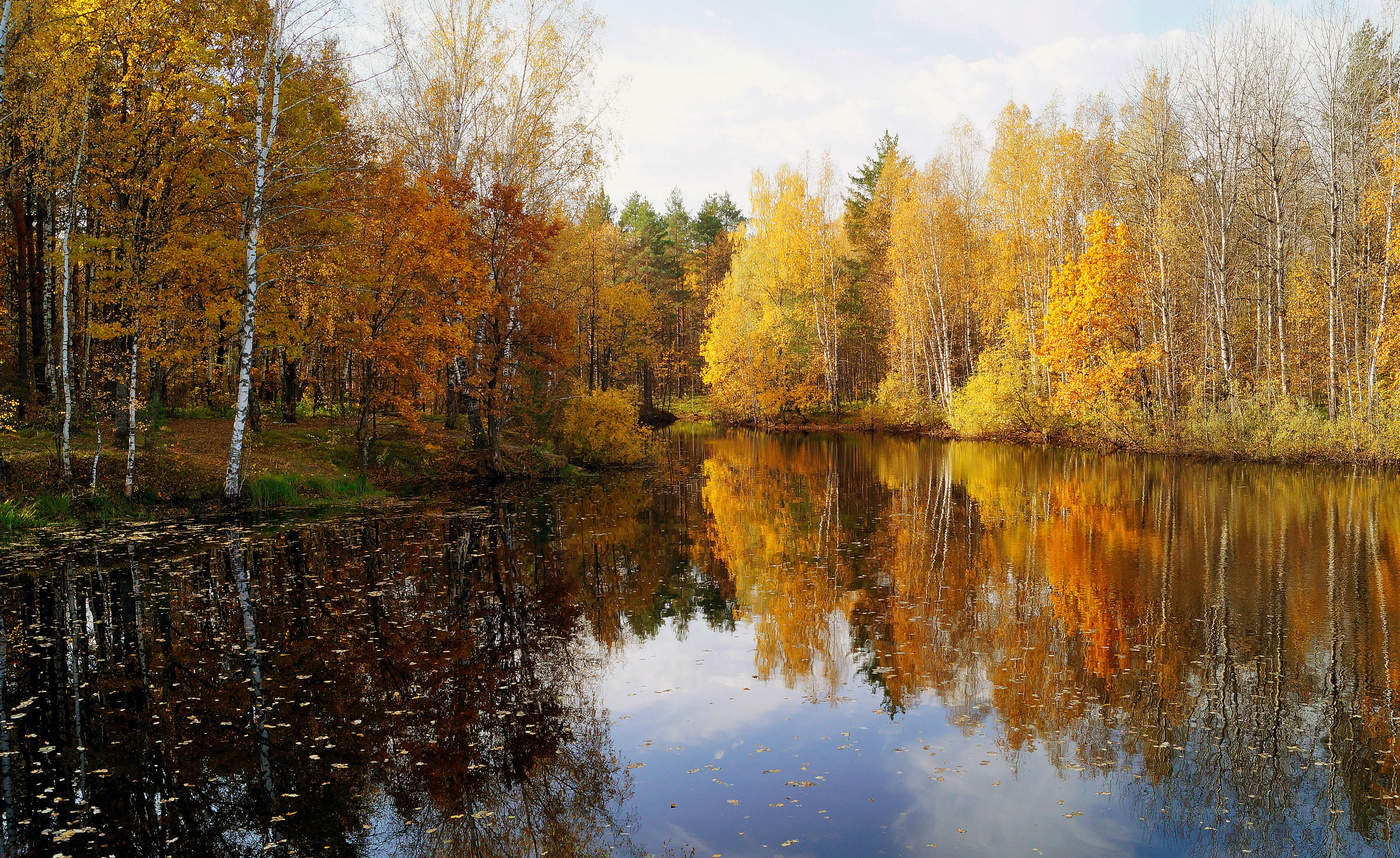 С берез неслышен невесом слушать. С берёз неслышен невесом.