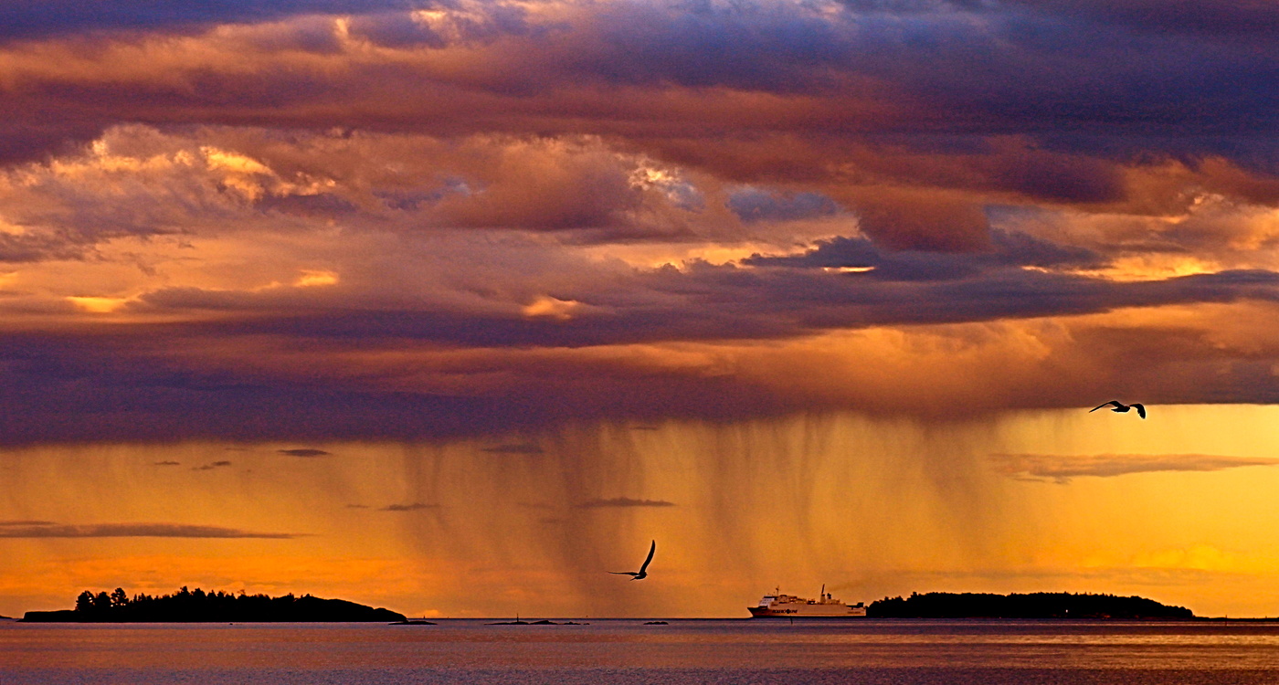 дождь на закате. закат под дождем. дождь на закате. красивый дождь. солнечный дождь.