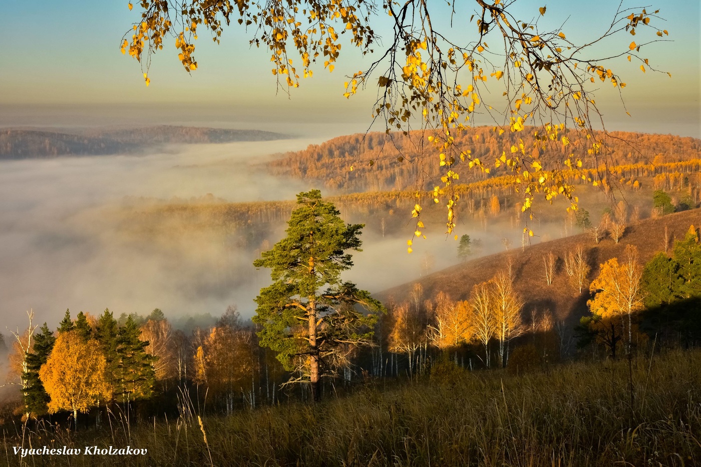 Осеннее утро сегодня