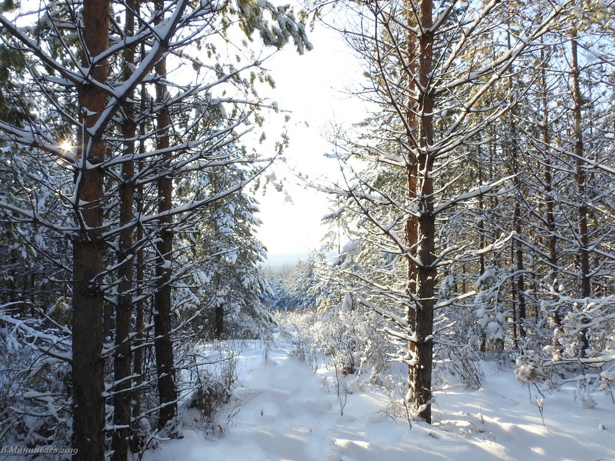 Следующую зиму