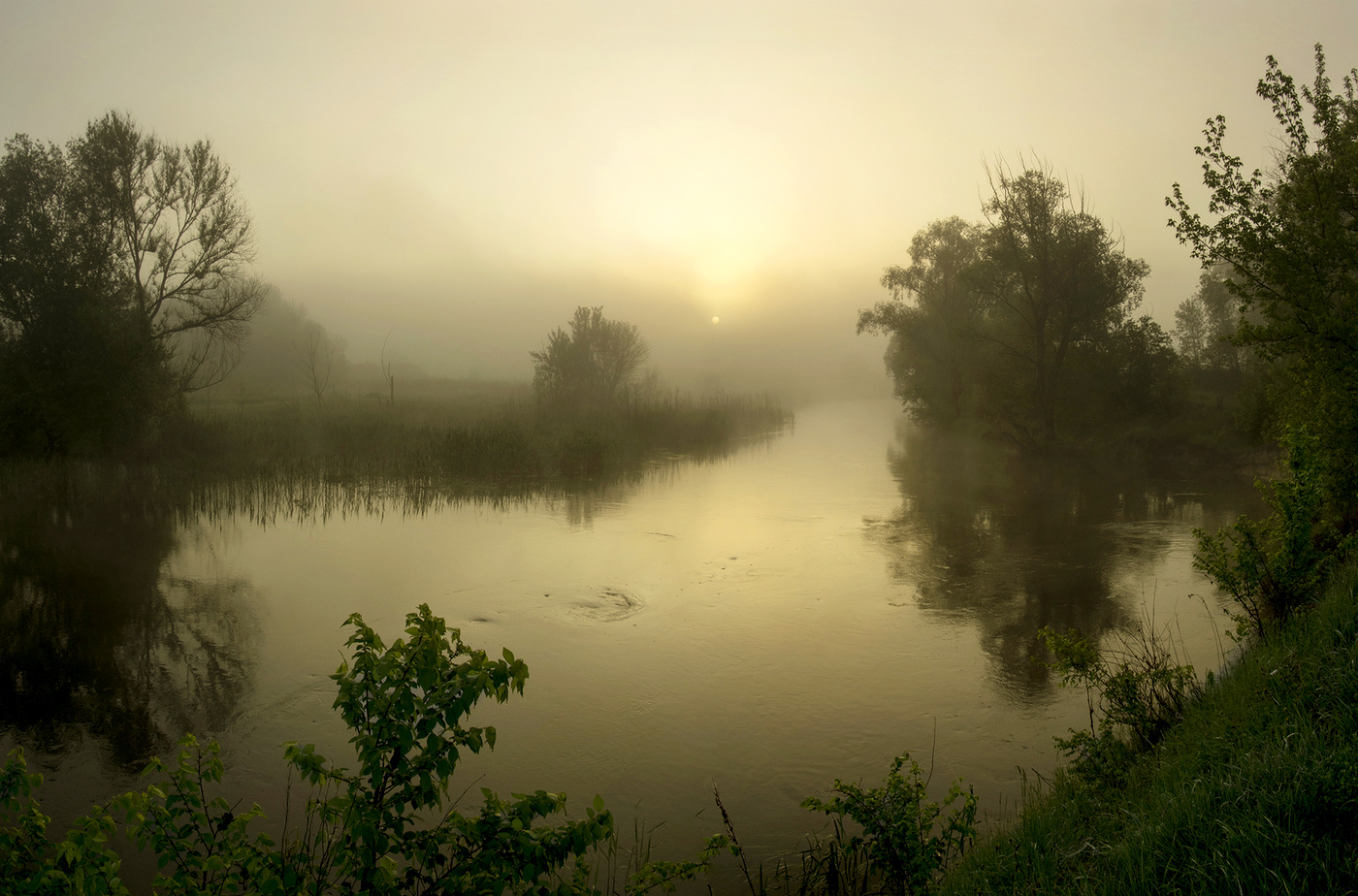 зыкина утро туманное