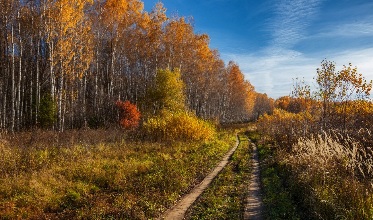 Дорожка осенью. Тропинка вдоль реки. Осень дорожка. Осенняя тропа в деревне. Осенняя тропинка Якутия.