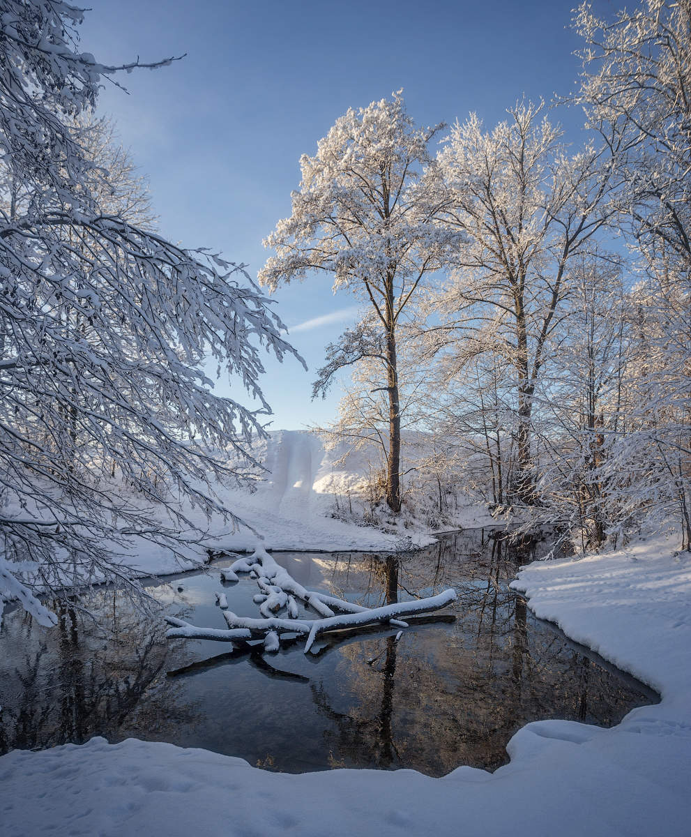 Зима Январь Фото