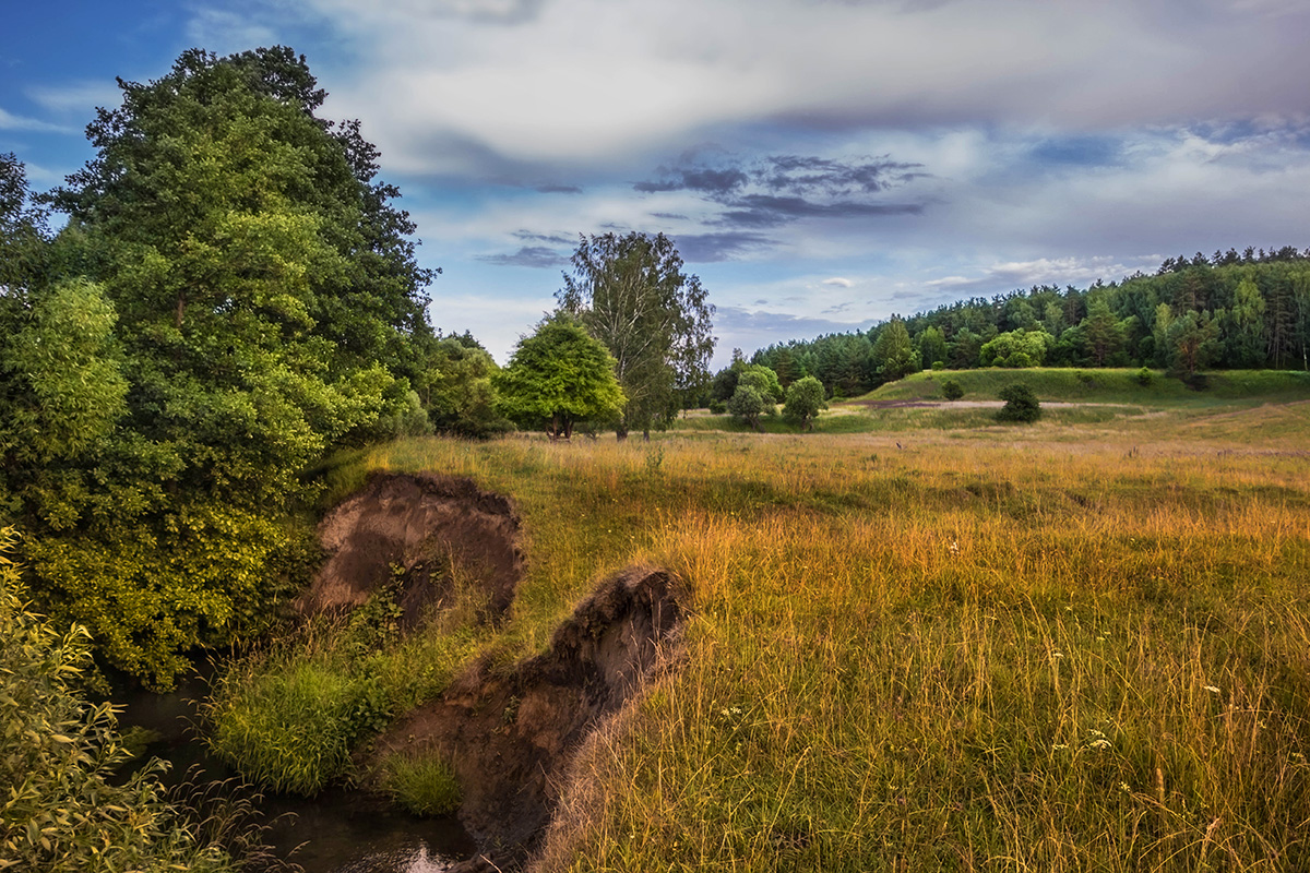 Овраг фото. Овраг Переторги. Хоботовский овраг. Сосновая Поляна овраг. Тверская область овраги.