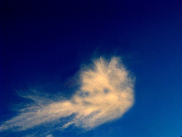 Leonardo sky. Небо левый левый. Лев из облака. Небо левый левый. Лев на небе.