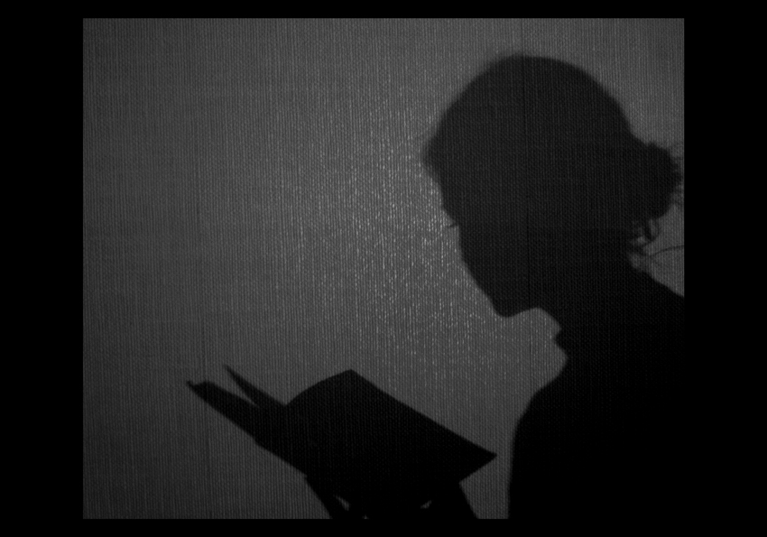 Свет и тень читать. Тень. Тень девушки с книгой. Книга теней. Тень человека с книгой.