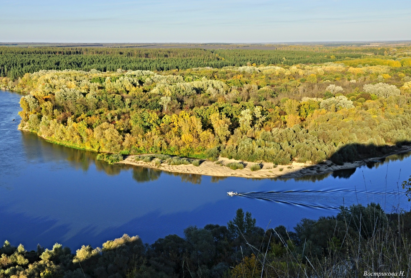 Берег дона