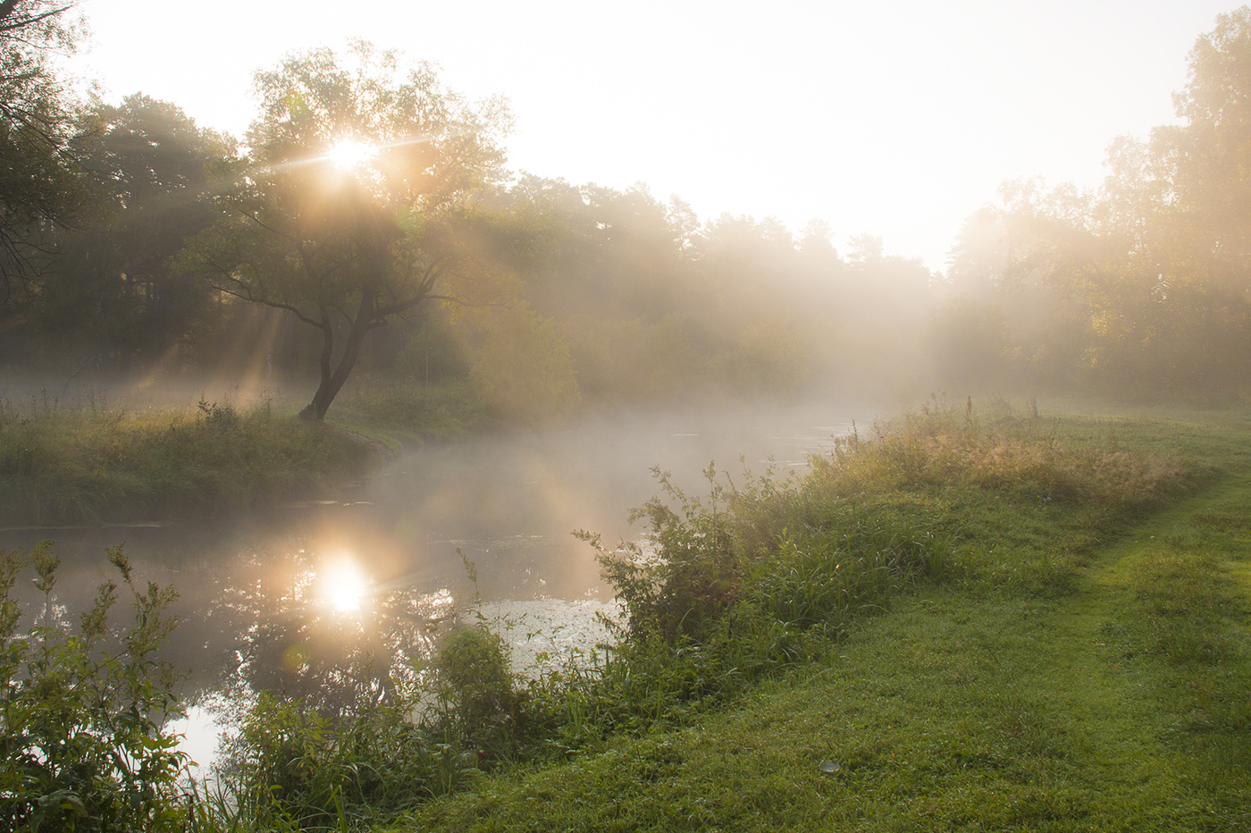 Раннее утро на природе. Утренняя река. Летнее утро. Туман на реке. Утренний туман.