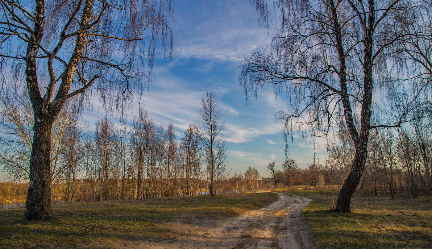 Весне дорогу картинки. Апрель природа дорога. Весне дорогу!. Весенняя лазурь. Дорога весной.