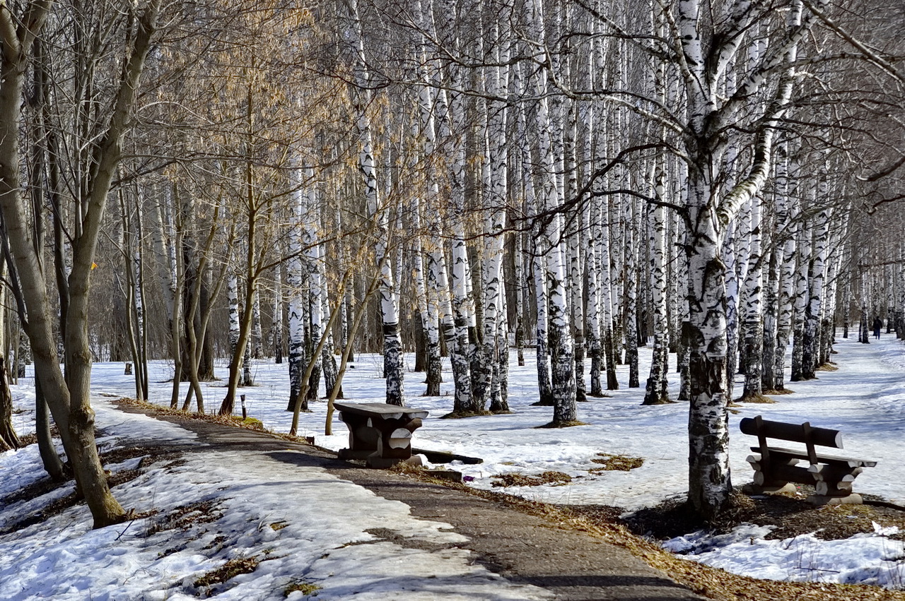 Фото Весны В Парке