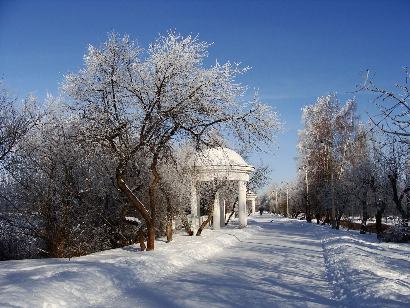 Дубна Московская область зимой