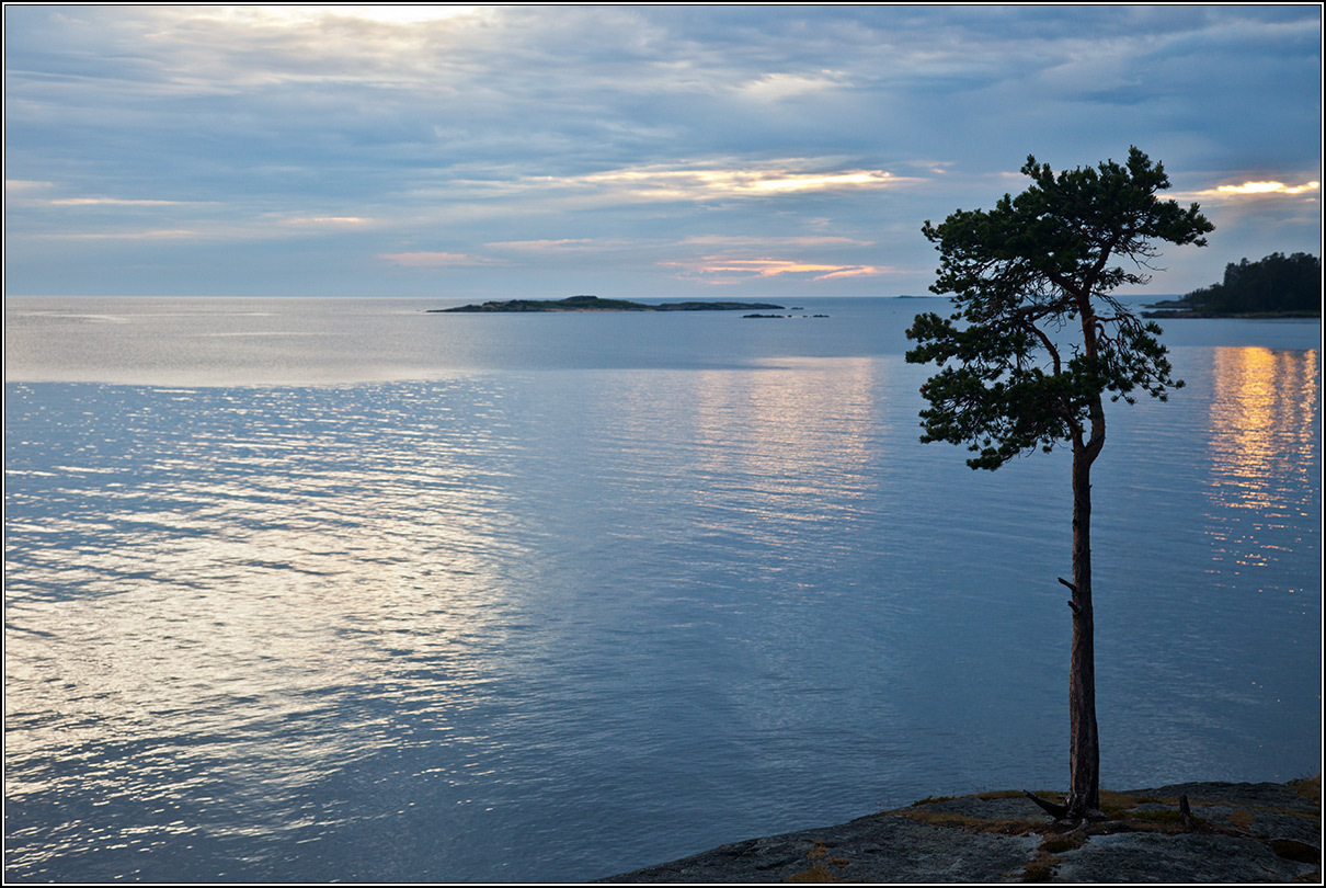 Белое море картинки фото