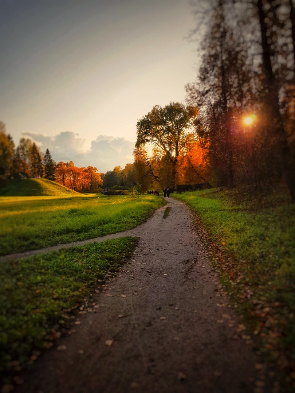 Оцените пейзаж. Осень парк дорога. Дорога в парке. Осень мокрая дорога. Дорога в парке на закате.