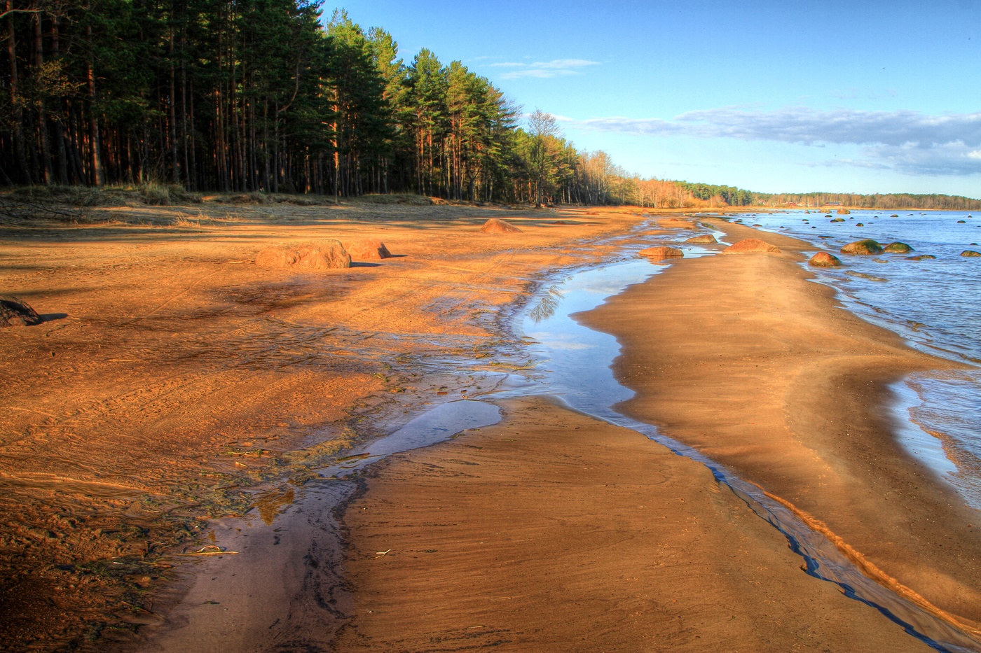 Размывает берег. Размытие берегов финского залива. Берег финского залива Тростники.