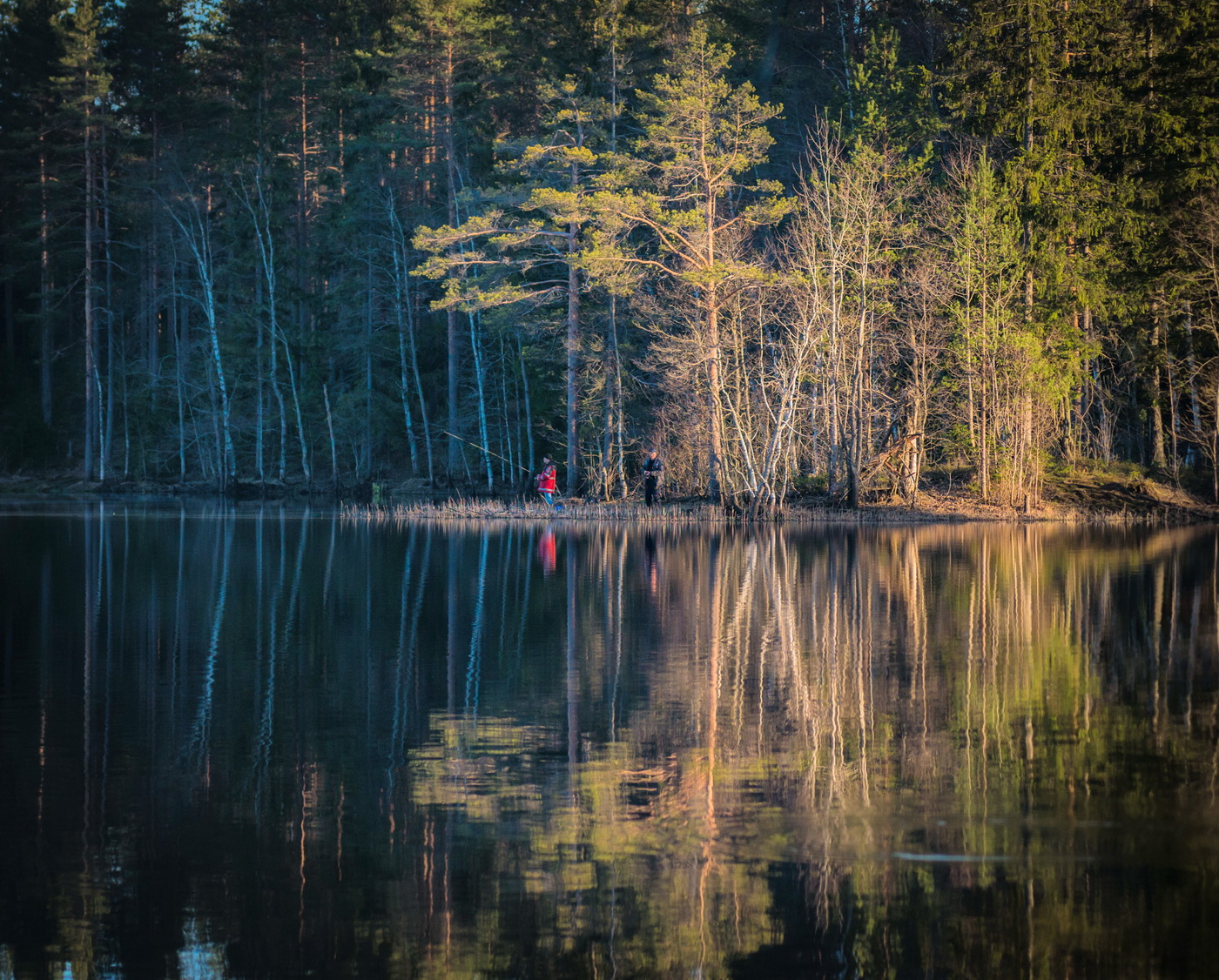 Озеро затейливое ленинградская область выборгский. Озеро зеркальное ленинградская область пляж. Лубенское озеро ленинградская область. Озеро зеркальное ленинградская. Оз зеркальное ленинградская область рыбалка.