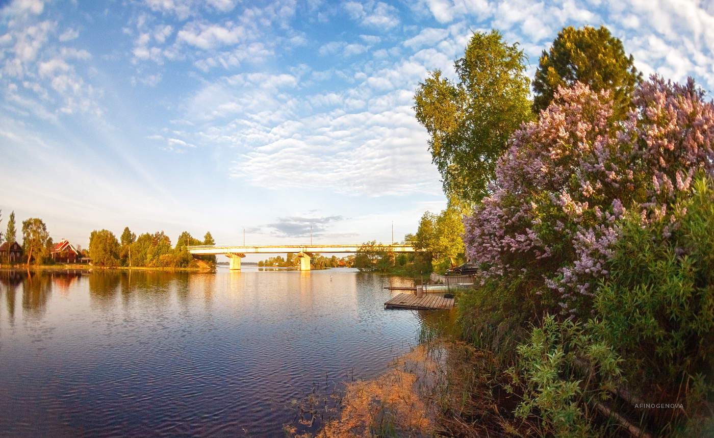 Поселок пено тверская область фото