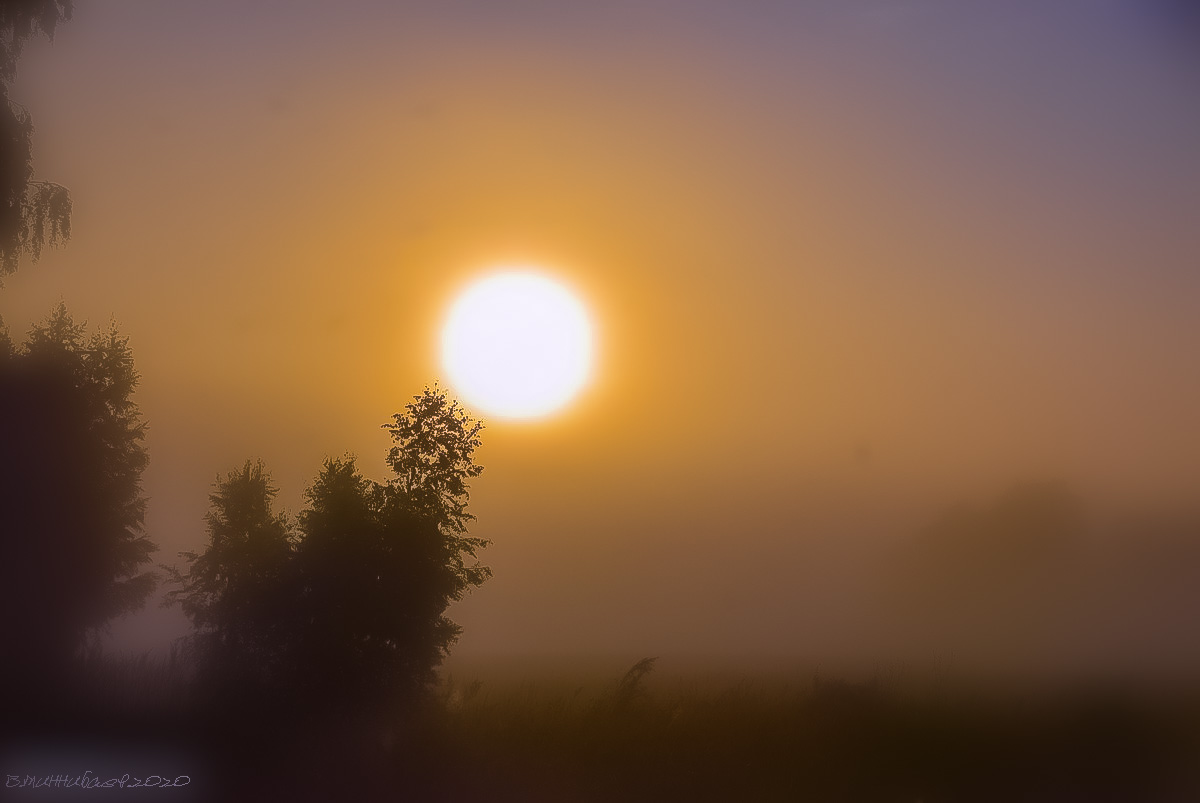 Фон солнце с лучами. Неяркое солнце. Чистое небо. Второе солнце. Светло желтый фон.