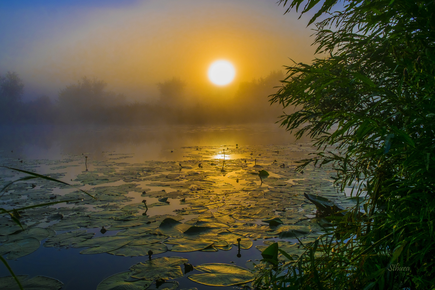 тишина рассвета. тишина рассвет. рассвет в украине. пейзаж рассвет. предрассветный туман.