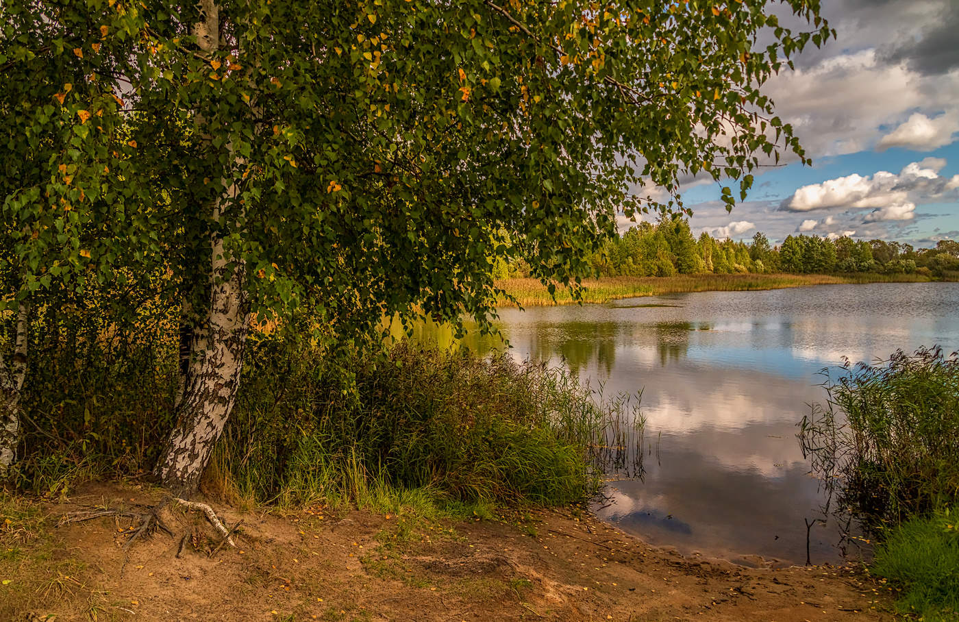 Нея осень