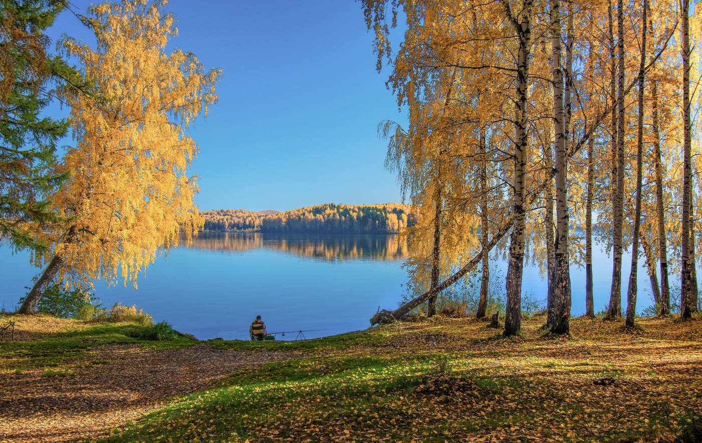 Красивое Осеннее Утро Фото Красивое Осеннее Утро Фото