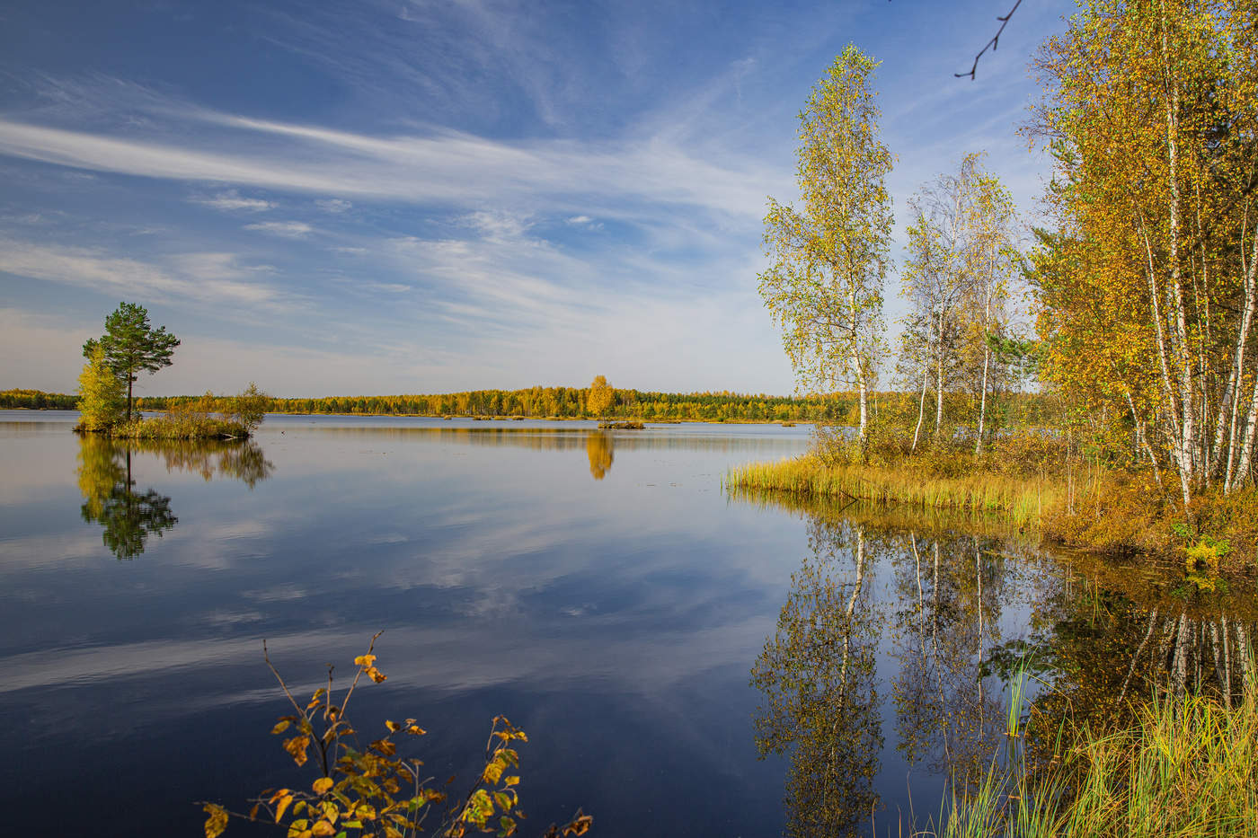 Край следующий. Природа Ярославского края. Природа Ярославского края фото. Владимир природа. Природа Ярославля фото.