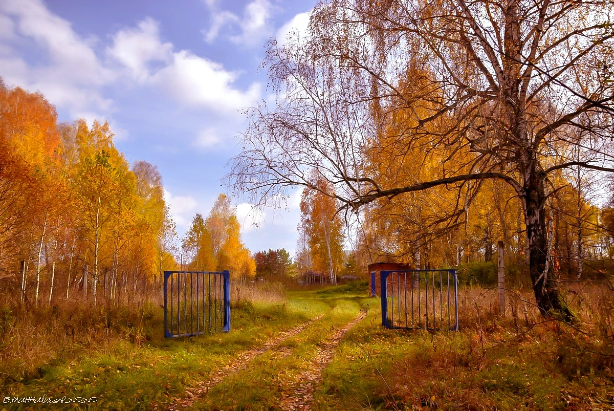 Фото Села Лесного