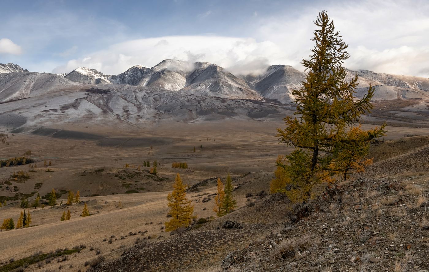 Курайская степь горный алтай фото