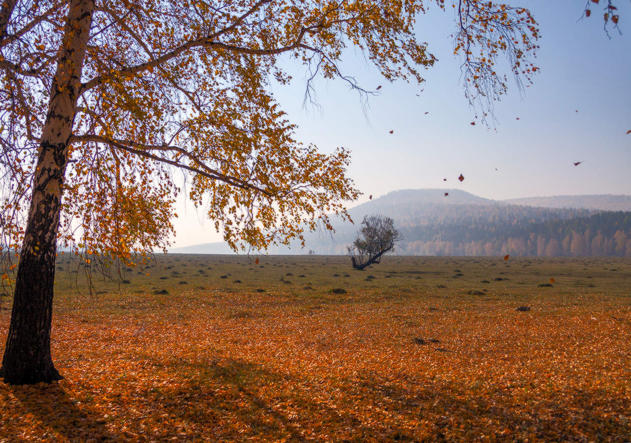 Звуки ветра осенью. Осенний ветер фото. Осень ветер фото. Ветер осенью какой.