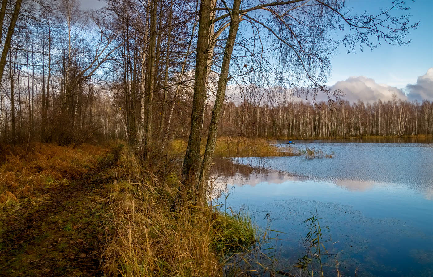 Ноябрь подмосковье. Ноябрь в Подмосковье. Ноябрь в Подмосковье фото. Середина ноября. Подмосковье середина ноября.