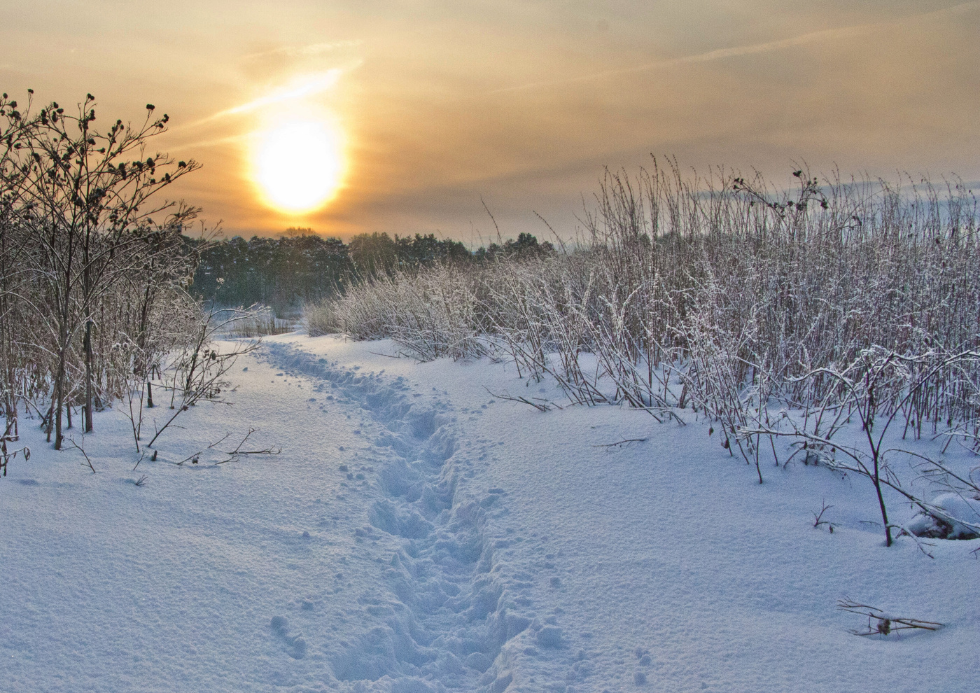 Снежок утром. Снежное утро. Снежное утро фото. Мороз и солнце с тропинкой. Фото на снегу яркая Ослепительная Солнечная дорожка.