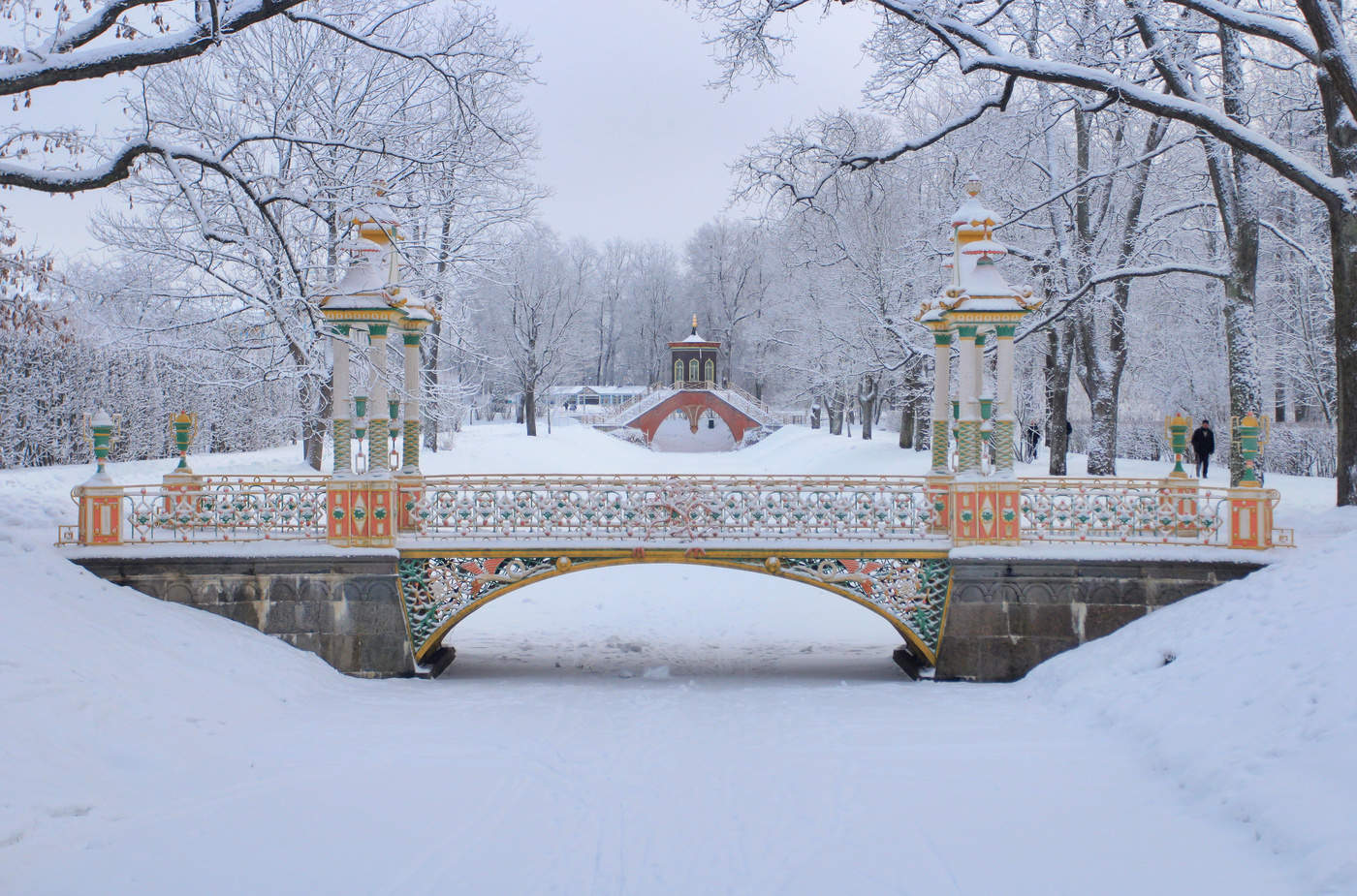 Зимний в пушкине. Александровский парк Царское село зимой. Александровский парк Пушкин зимой. Александровский парк в Пушкине зимой. Пушкин Царское село зима.