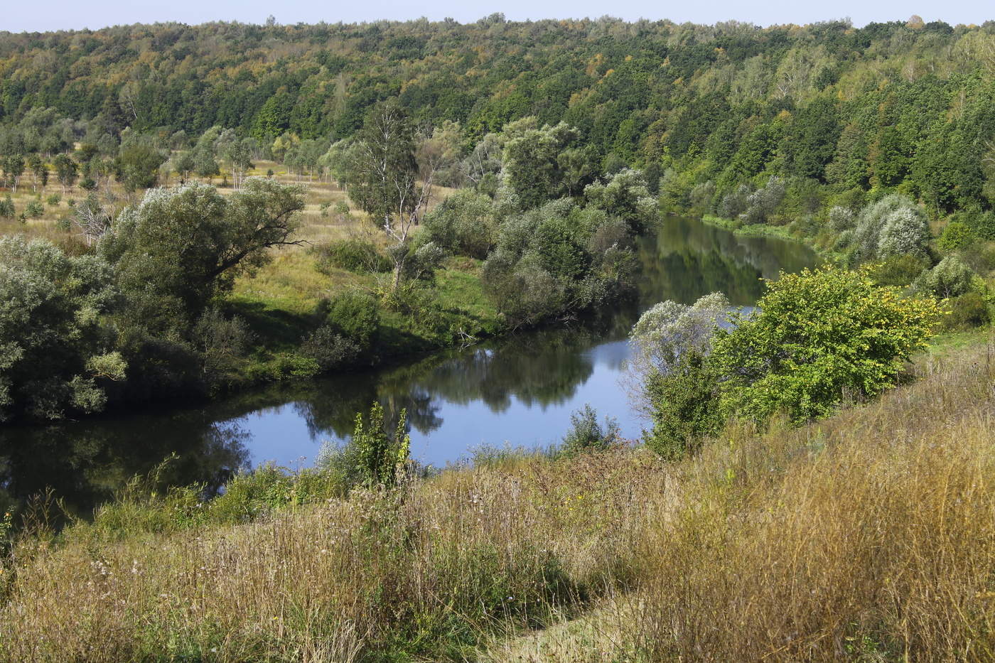 Река осетр. Река осетр Зарайск. Река осётр Московская область Зарайск. Зарайск осётр река фото. Речка осетр Зарайск.