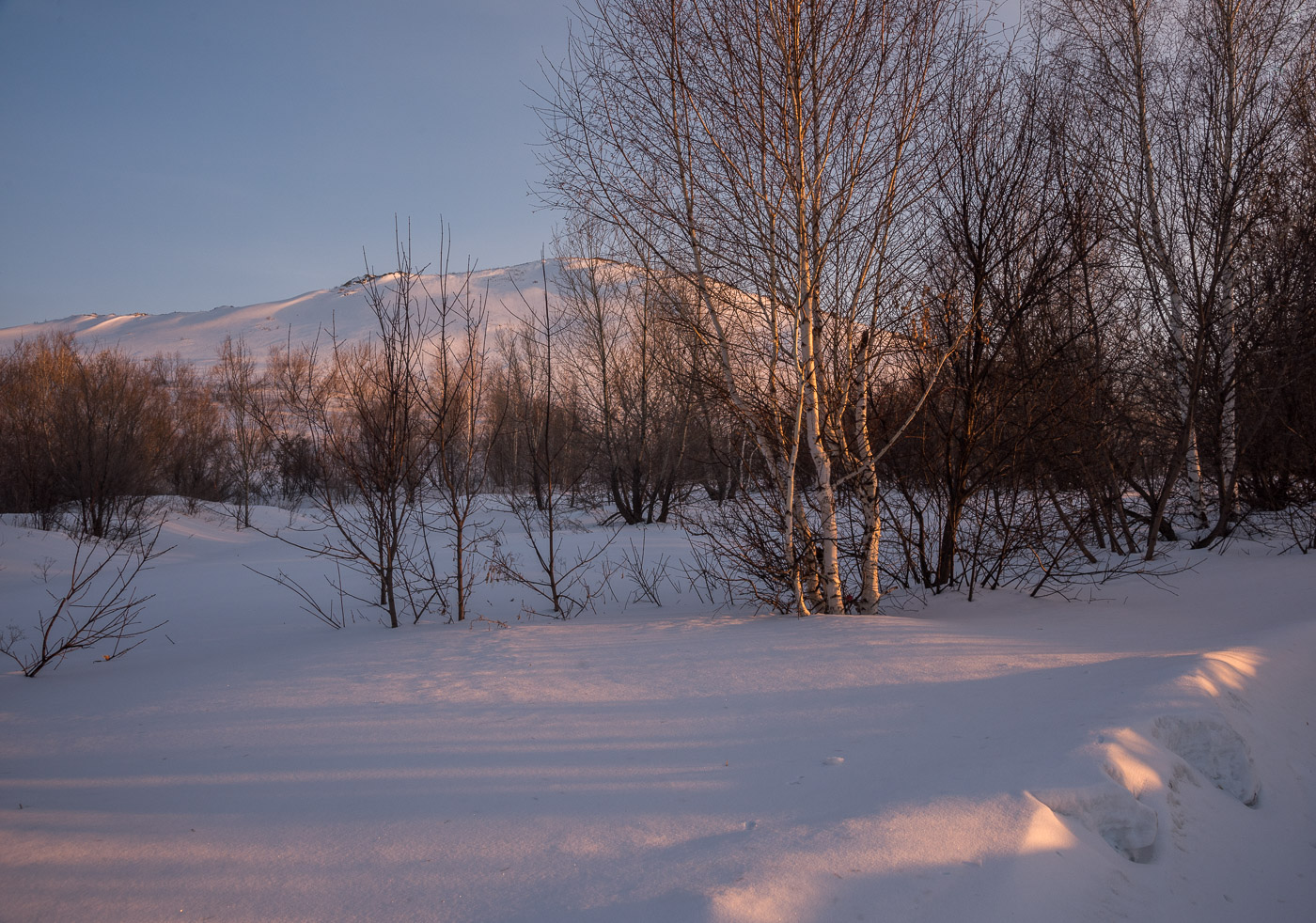 гладковские сопки зимой. зея сопки снежные. зима холодная и сухая снега на сопках. магаданская область зима. мартовские сопки.