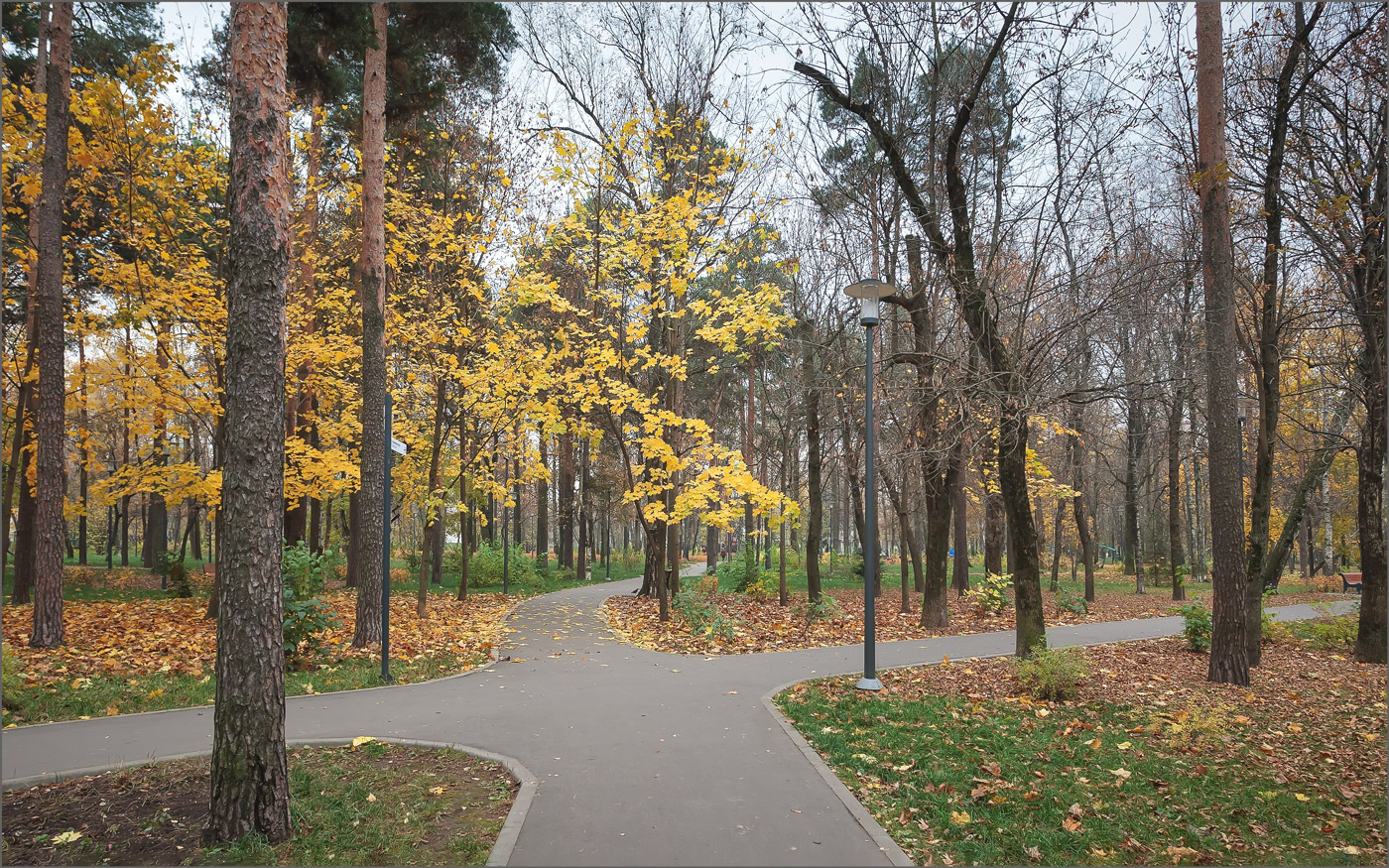 Парк писателей. Пустынный парк. Зеленогорск Санкт-Петербург парк осень. Парк Первомайский осенью. Безлюдный парк в Москве.