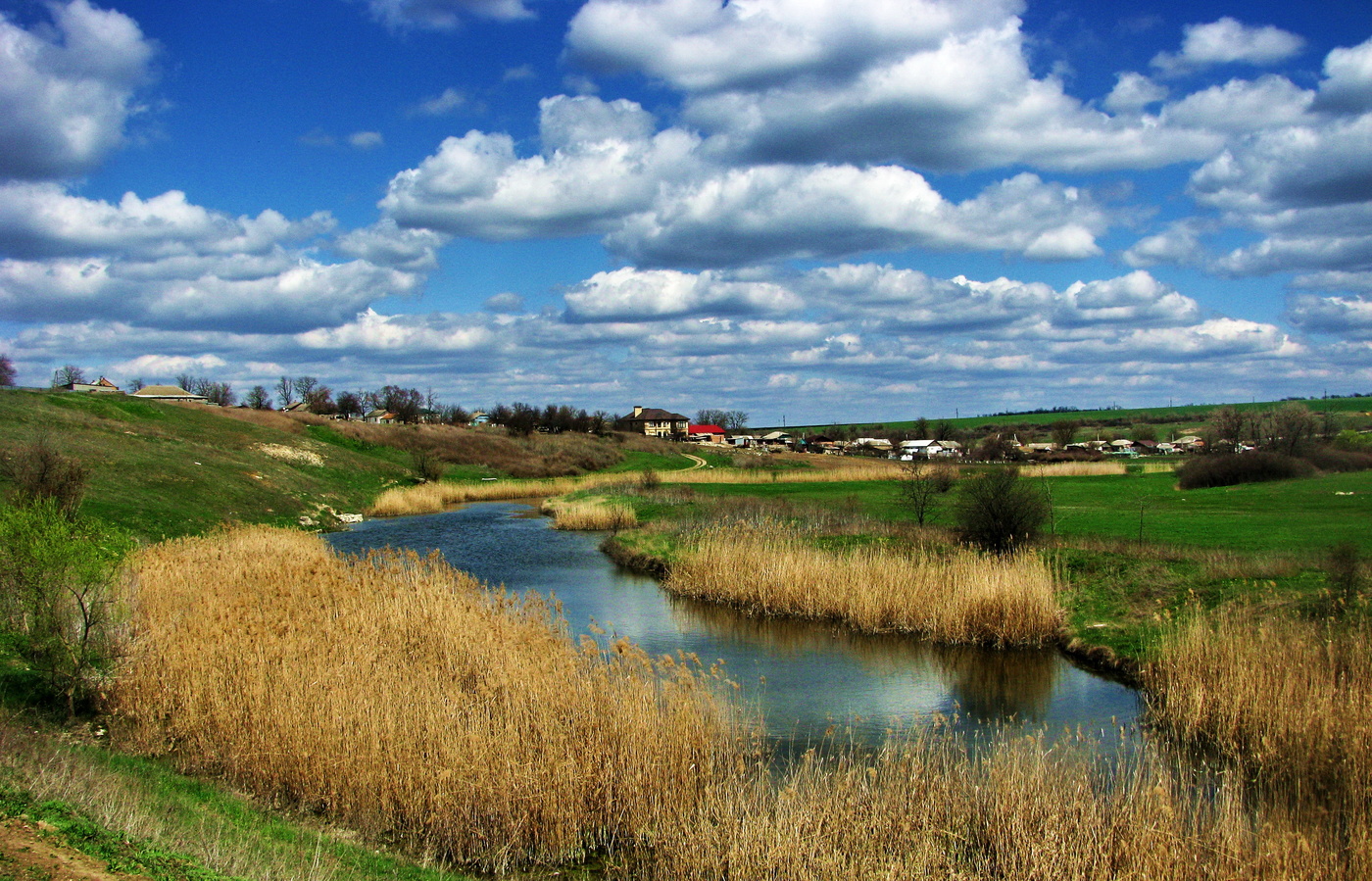 Село дерева